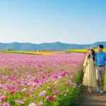 서천꽃밭