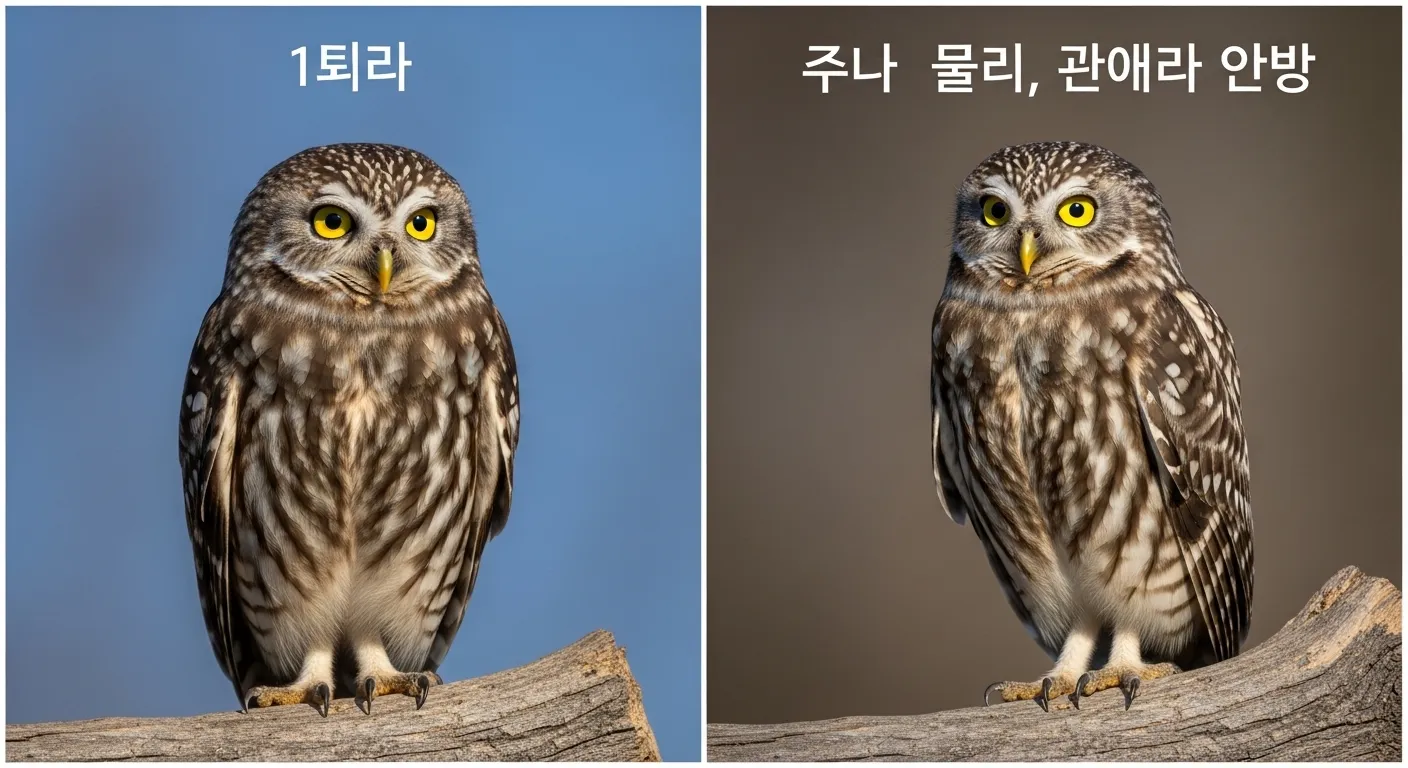 금눈쇠올빼미