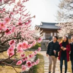 봄을 알리는 매화