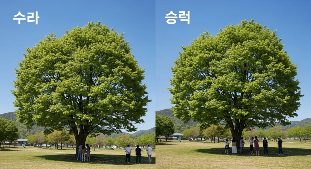엄나무